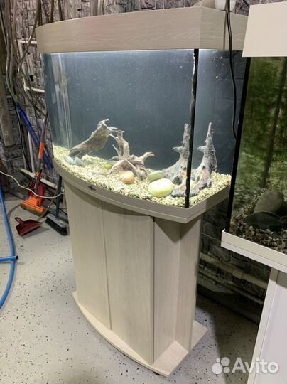 Аквариум biodesign 100, доставка