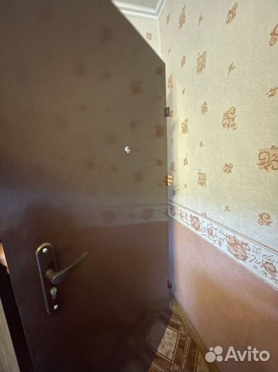 Дверь (перегородка для кормана)