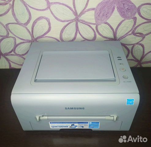 Принтер лазерный Samsung ML-2540R без чипов