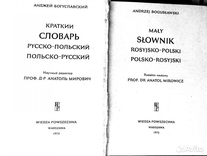 Чешский, польский, английский, французский словари