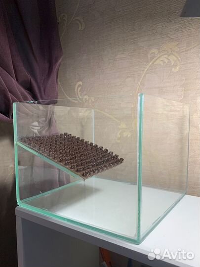 Аквариум для черепах