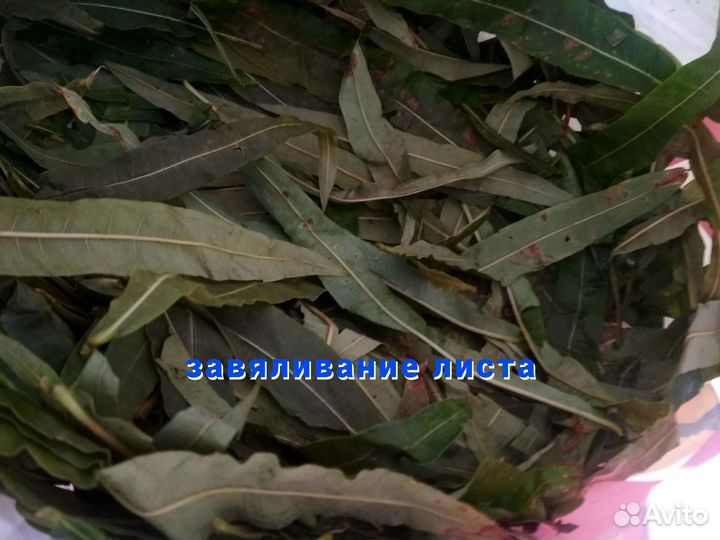 Иван-чай с чагой, 200 гр (чагачай)