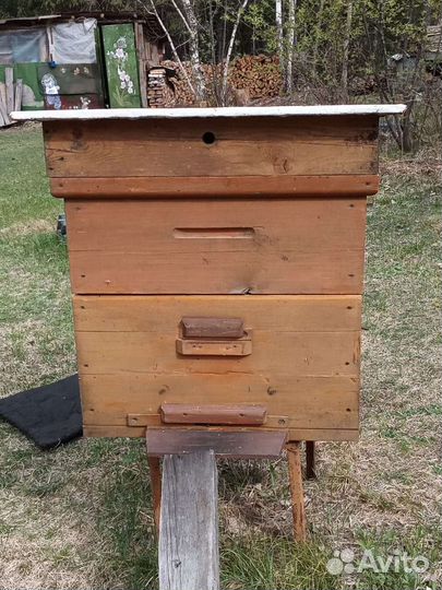 Пчелы и улья