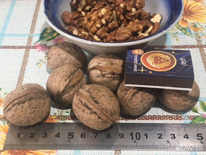 Орех грецкий (высший сорт)
