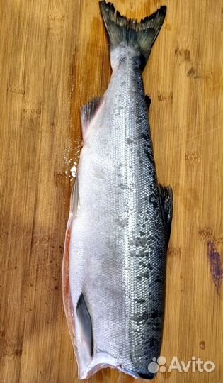 Красная рыба 2023г. С/М Нерка Охотск Б/Г