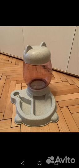 Миска и одежда для кошек, переноска