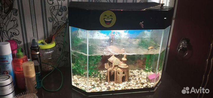 Аквариум
