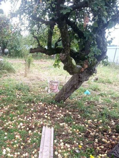 Дом 108 м² на участке 17 сот.