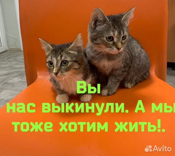 Мы ждем тебя