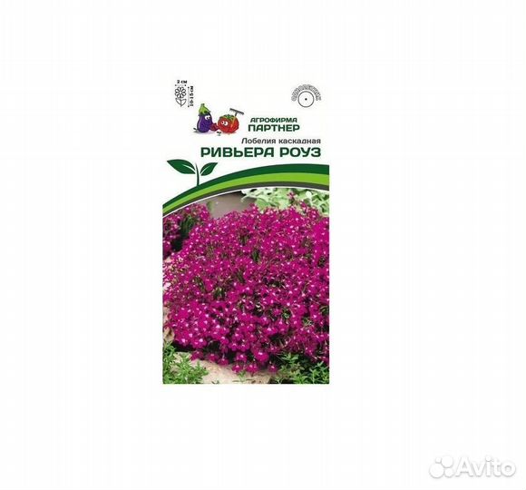 Лобелия каскадная ривьера роуз, / Партнер