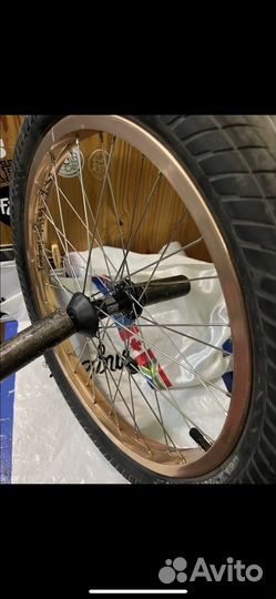 Вилест bmx Bsd