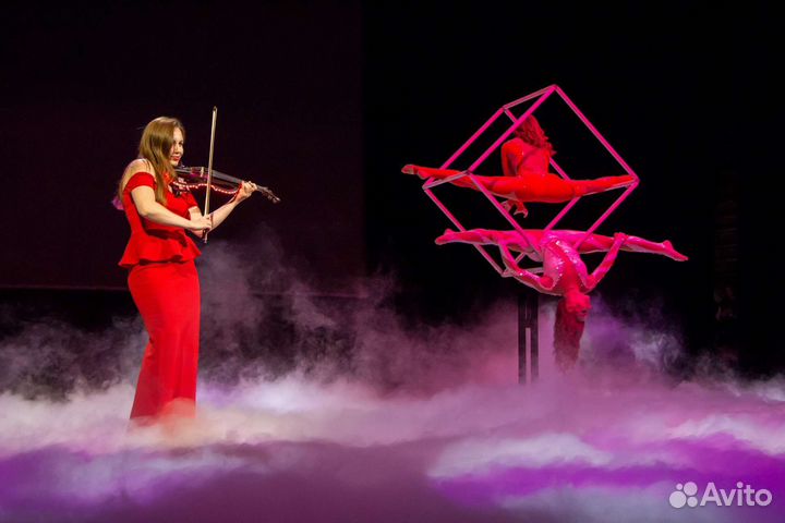 Шоу на свадьбу. Заказать артиста, скрипачка