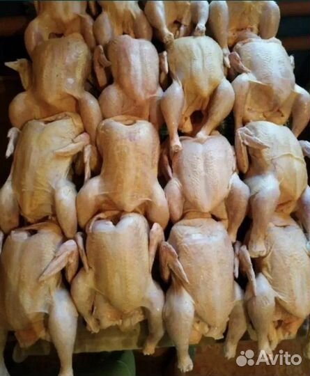 Домашнее мясо птиц (гусь,утка,индо-утка,бройлер)