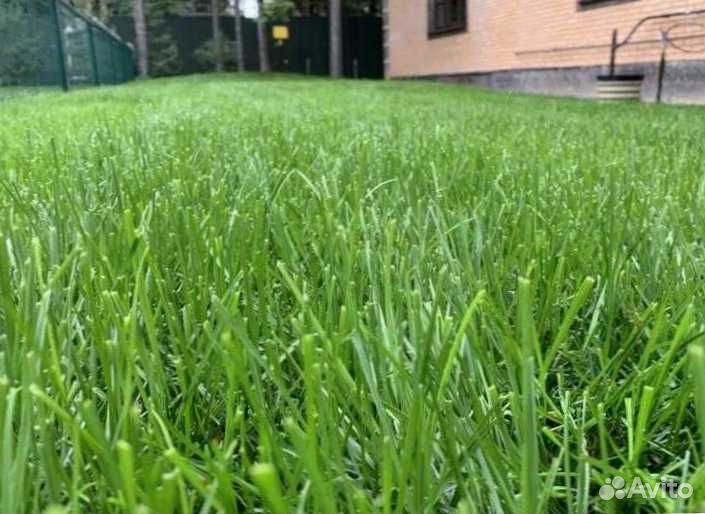 Семена газона DLF THE 1 универсальный