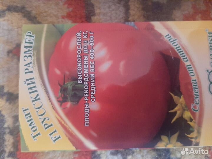 Рассада помидоров