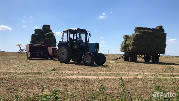 Сено в тюках цена с доставкой