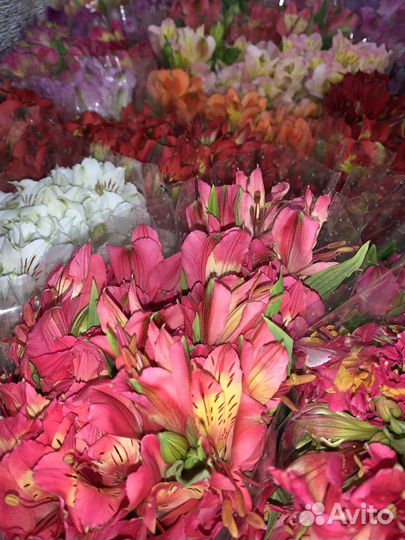 Цветы букет альстромерий, букеты, альстромерия