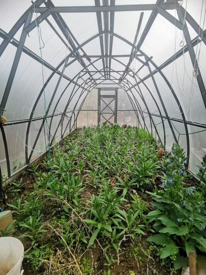 Дом 55 м² на участке 10 сот.