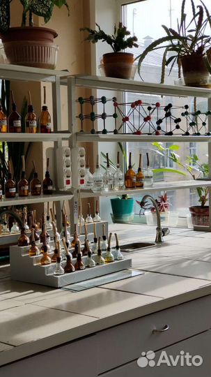 Репетитор по химии и биологии огэ/егэ