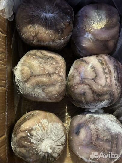 Осьминог очищенный/ 2-3 кг