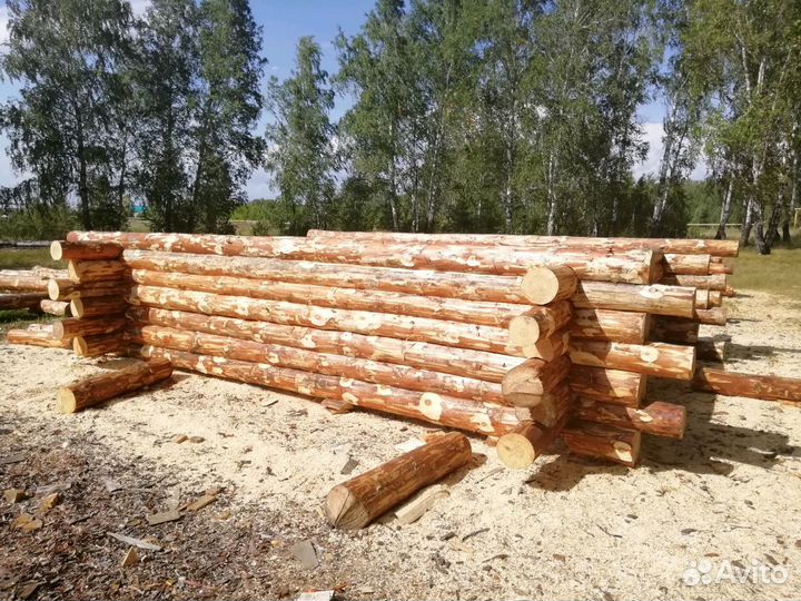 Сруб 6 на 6 метров. Дикая рубка в обратную чашу