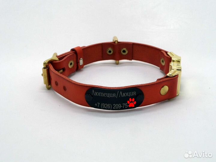 Кожаный ошейник с пряжкой фастекс