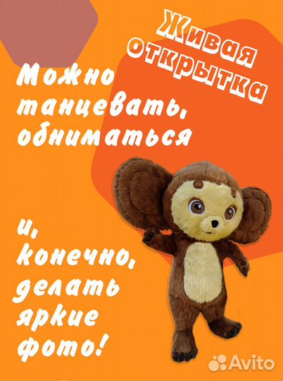 Аниматор на праздник/Живая открытка/Ростовая кукла