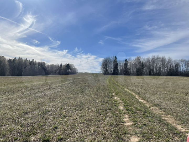 Участок 4,2 га (СНТ, ДНП)