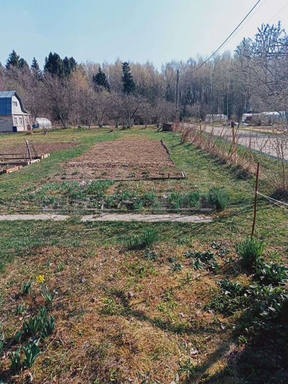 Участок 8,8 сот. (СНТ, ДНП)