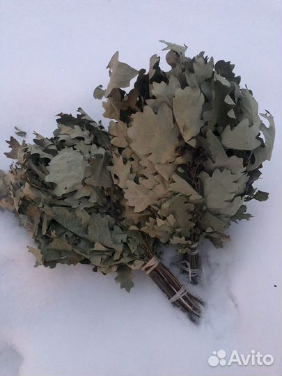 Банный веник, дуб/береза