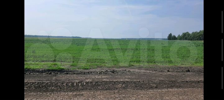 Участок 6,4 сот. (ИЖС)