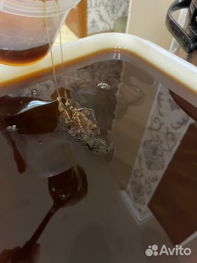 Мед дягелевый алтайский