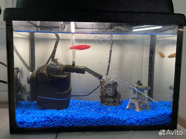 Аквариум с рыбками