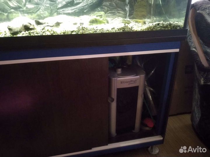 Аквариум с рыбой