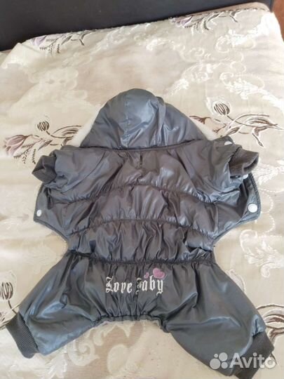 Одежда для собак