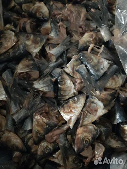 Рыбные отходы (замороженные несоленые)