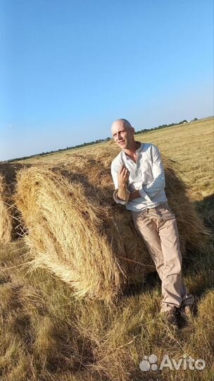 Ведущий, DJ, организация мероприятий