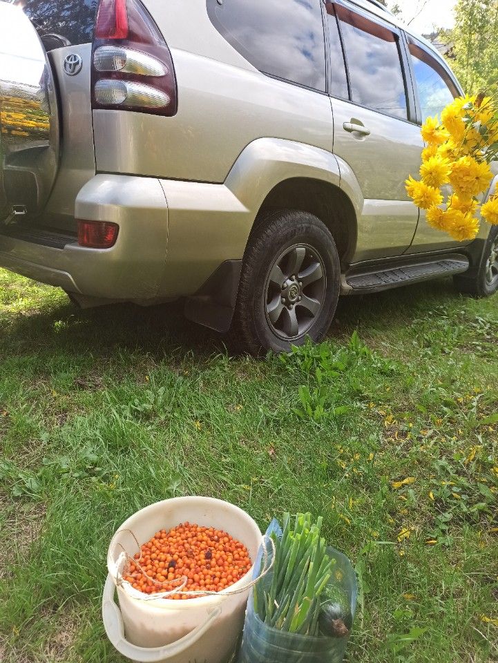 Toyota Land Cruiser Prado: фото владельца