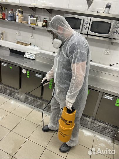 Дезинсекция и дератизация