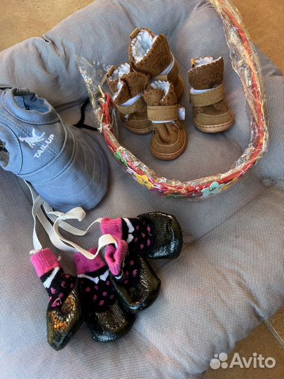 Ошейник носки ботинки для маленькой собаки