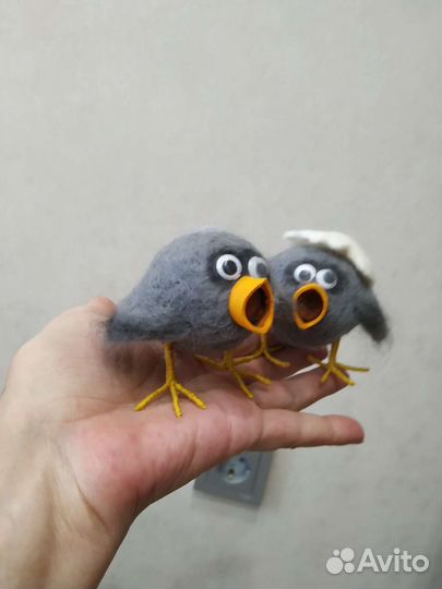 Ворона из Кузи) Счастья привалило)