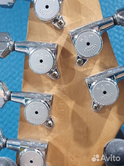 Caparison Dellinger HGS 2004