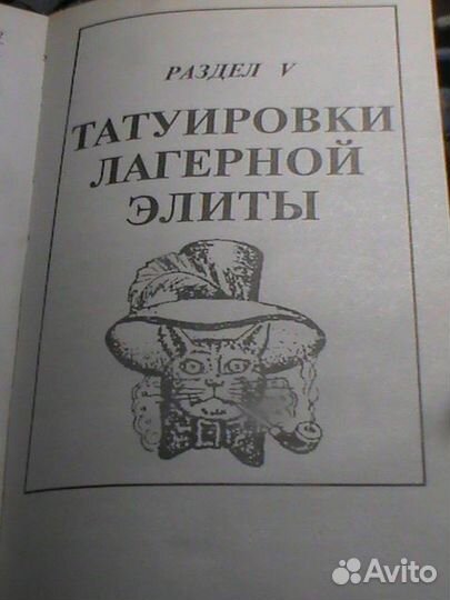 Преступники и преступления. Законы преступного мир
