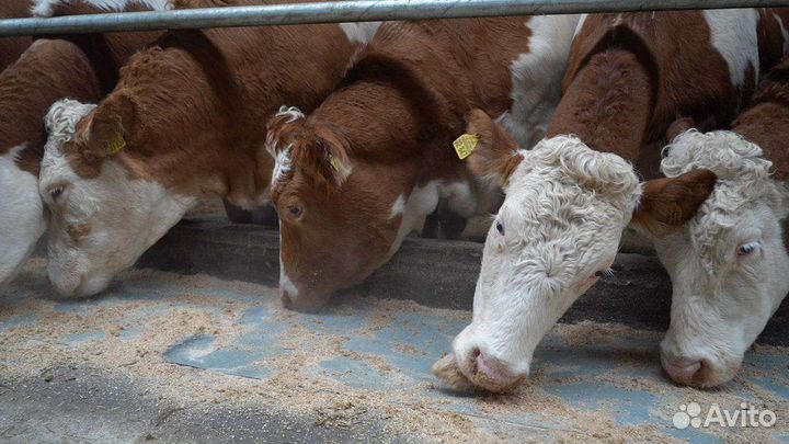 Агровермикулит