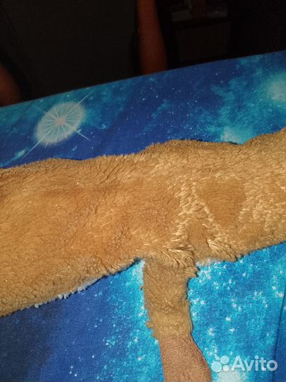 Игрушка кошка очень старая, она из 2012 года