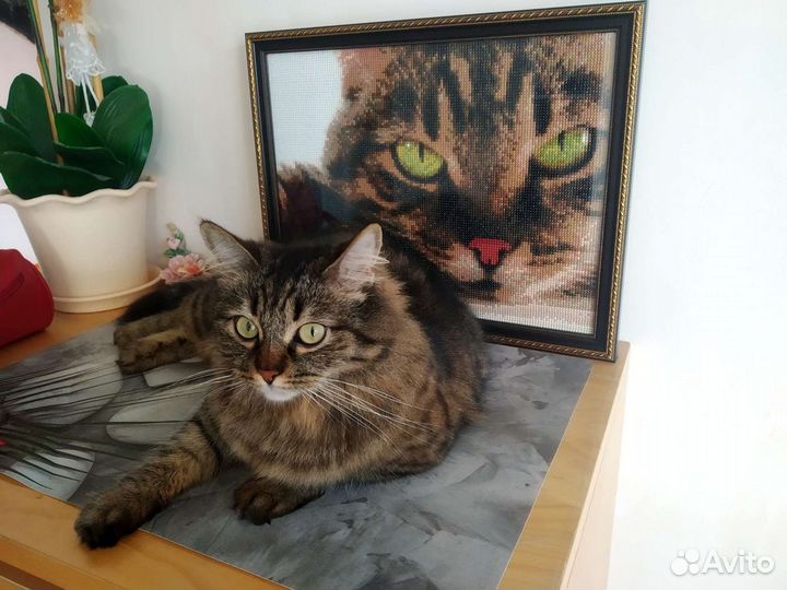 Алмазная мозаика