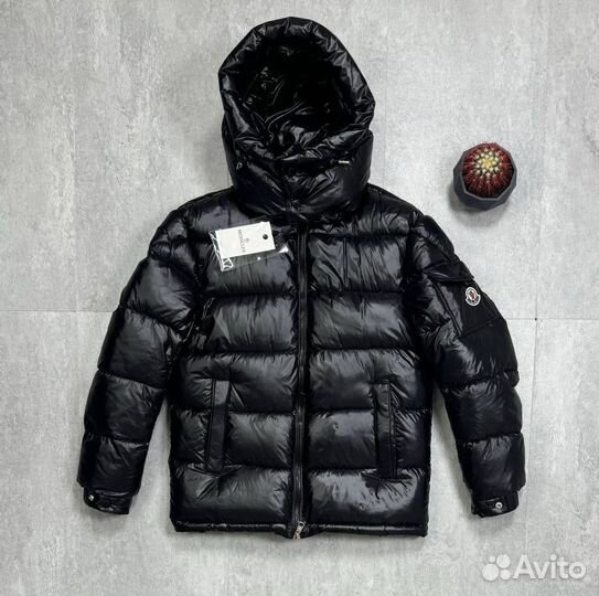 Пуховик Moncler Мужской Премиум Глянец