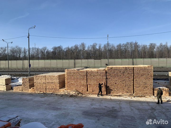 Обрезной лес