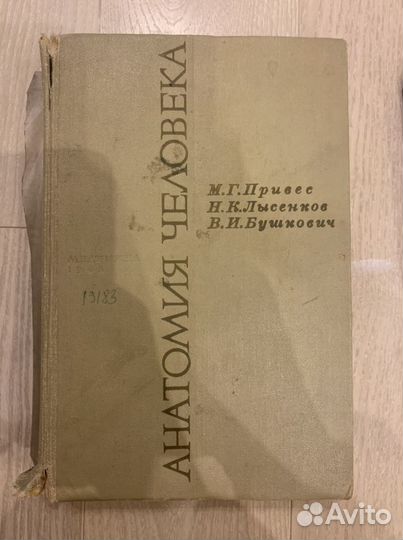 Привес анатомия человека 1968г