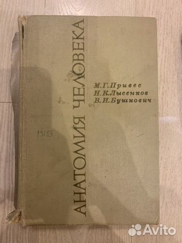 Привес анатомия человека 1968г